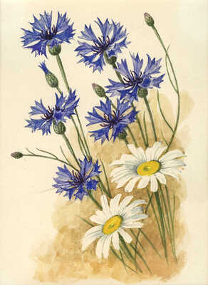 Шипиленко Александр Кузьмич. Два рисунка: 